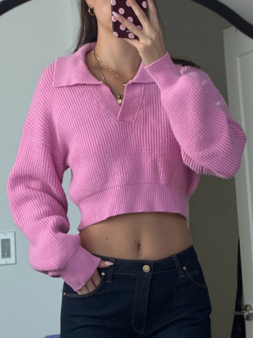 Pink Cropped Collared Sweater - Women